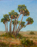 Cedar Key Savannah