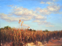 Florida Summer Afternoon